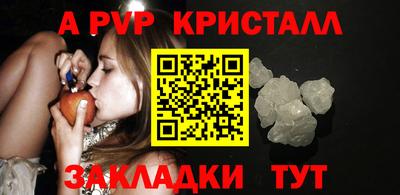 ешки Гай
