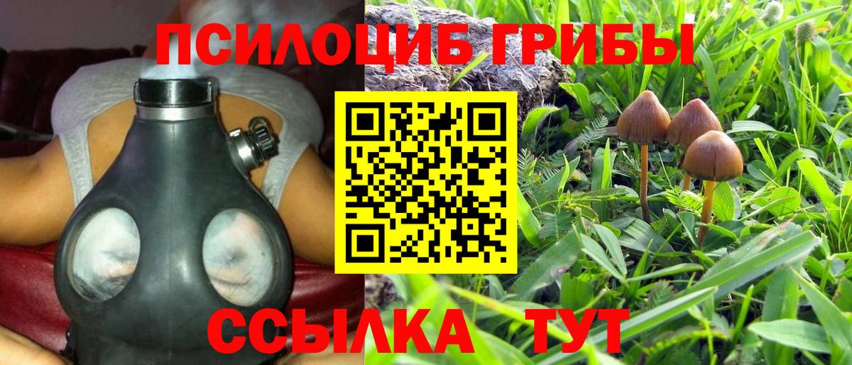 Галлюциногенные грибы GOLDEN TEACHER Губкин