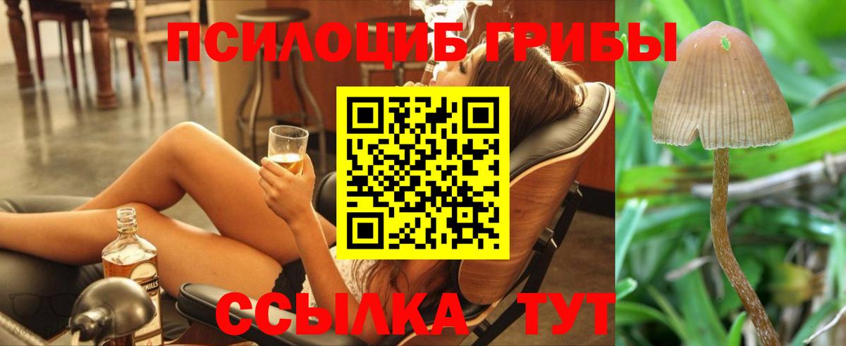 Псилоцибиновые грибы GOLDEN TEACHER  Вход с VPN  Галлюциногенные грибы Psilocybe  Губкин 